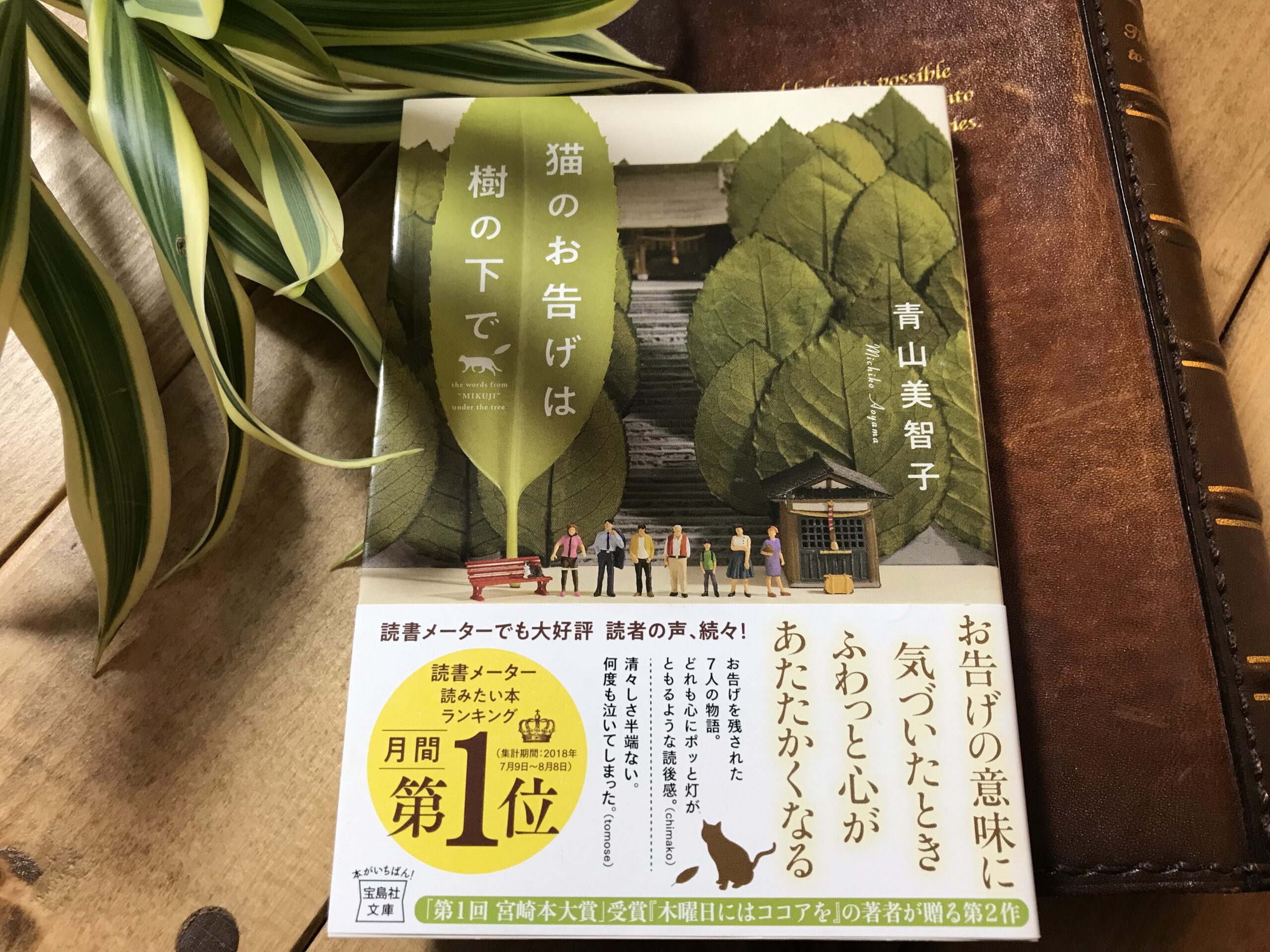 ここあ様用 9本