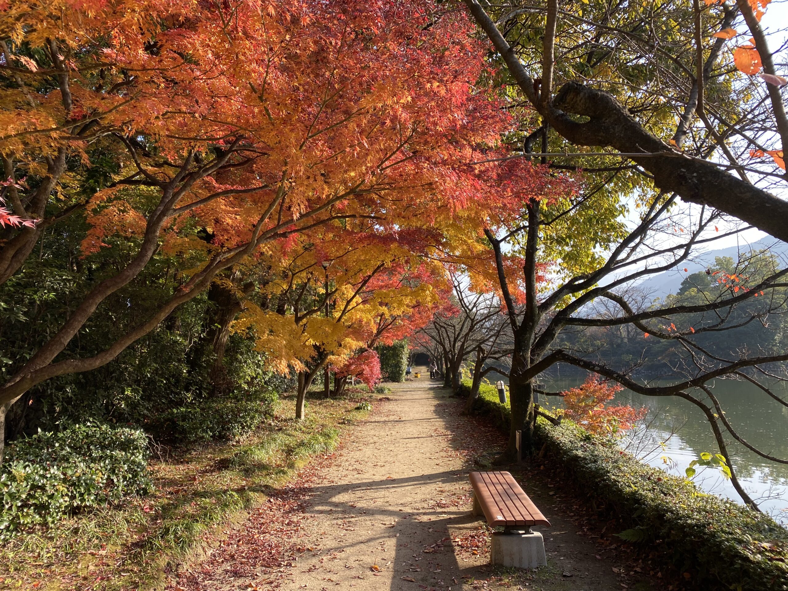 自分の目で 喜多川日記 日々のこと 喜多川 泰 Yasushi Kitagawa Official Website