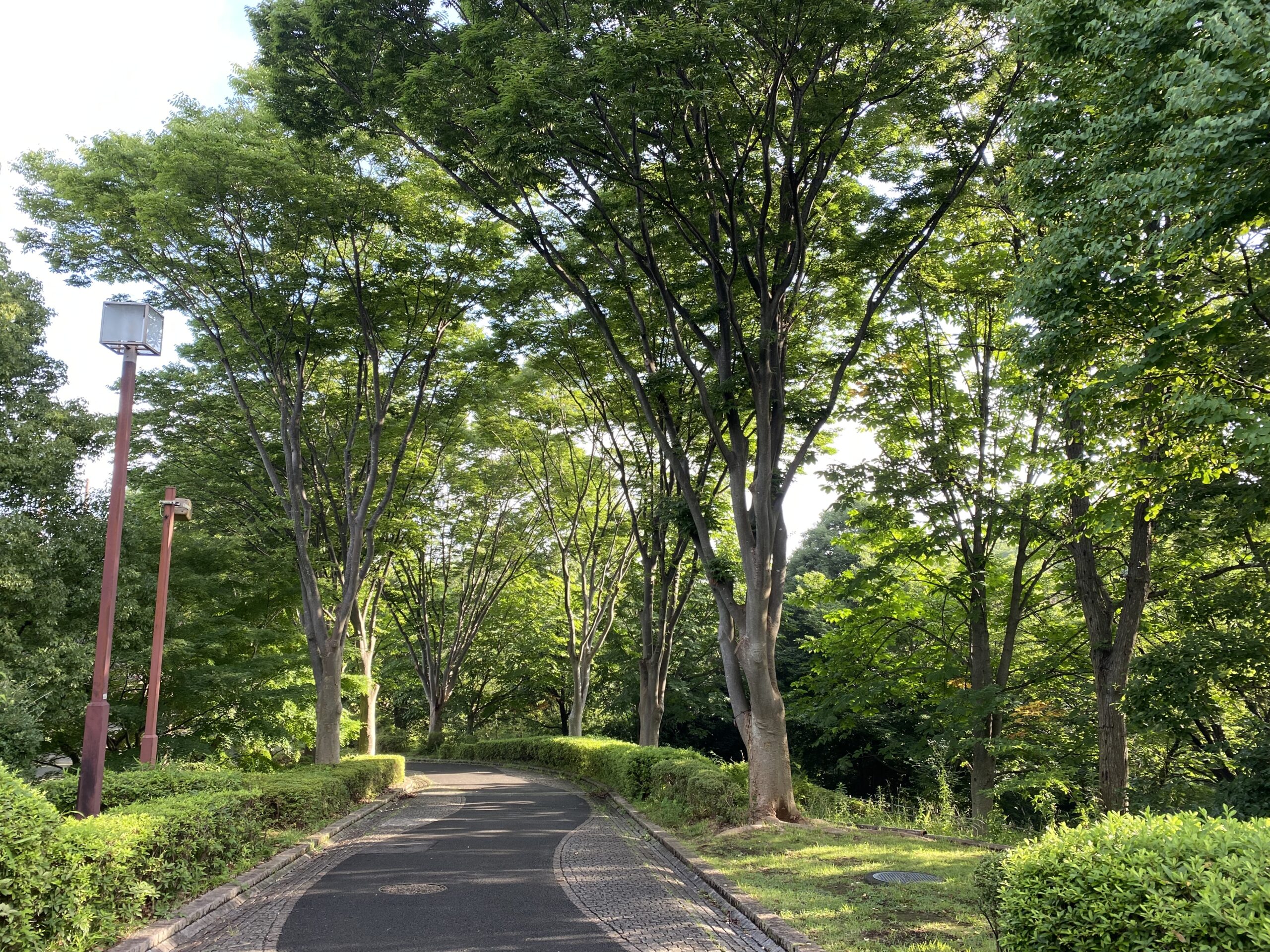 人にすすめてもらう 喜多川日記 日々のこと 喜多川 泰 Yasushi Kitagawa Official Website