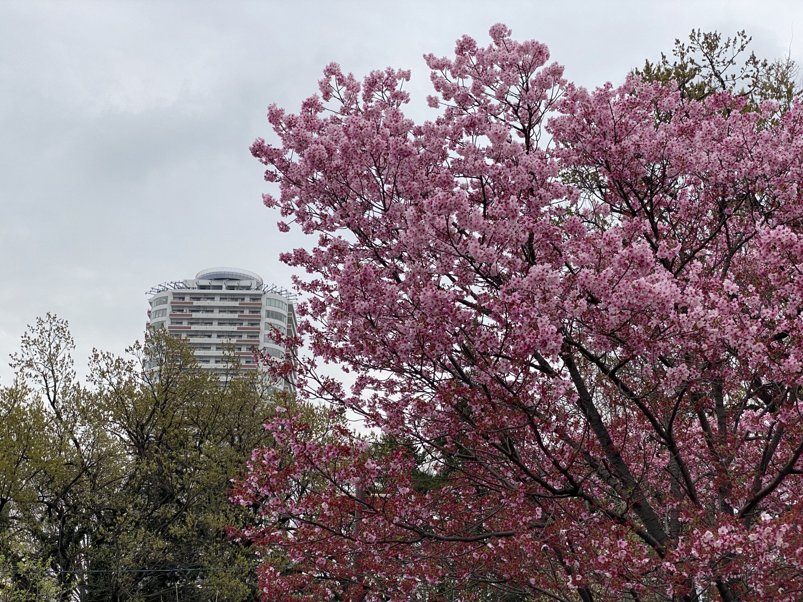 先は長い 喜多川日記 日々のこと 喜多川 泰 Yasushi Kitagawa Official Website