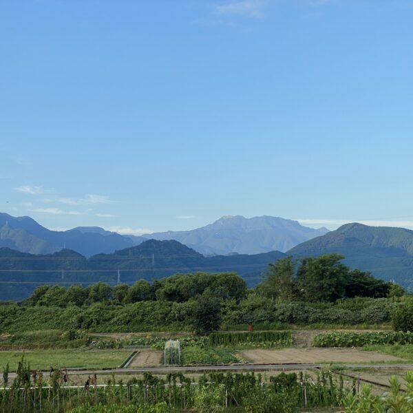 夏期休業日のお知らせ