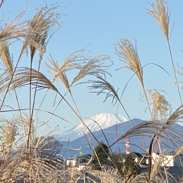 日本で一番高いところ