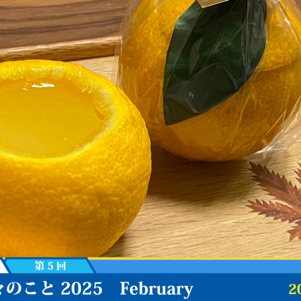 日々のこと 2025 February