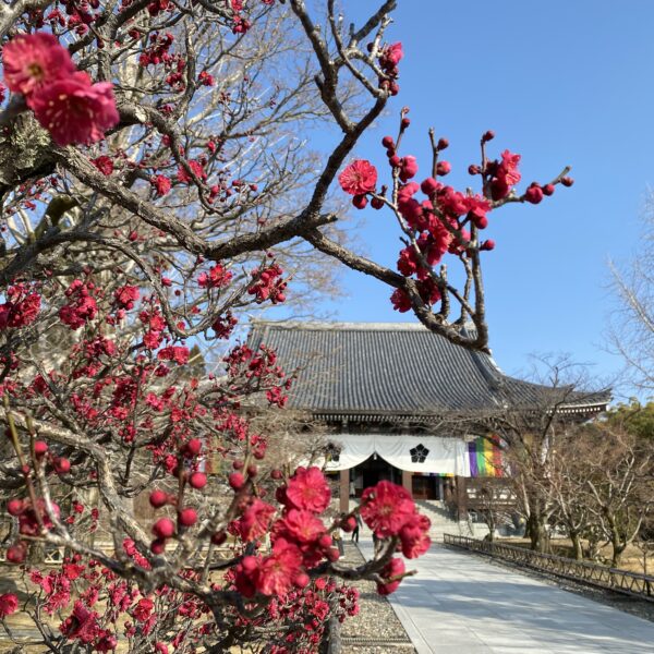 智積院