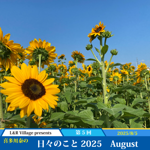 日々のこと 2025 August