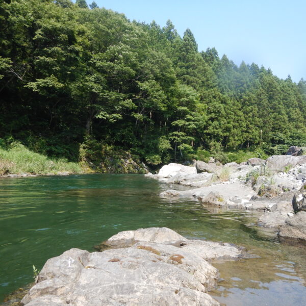 変化の方向性