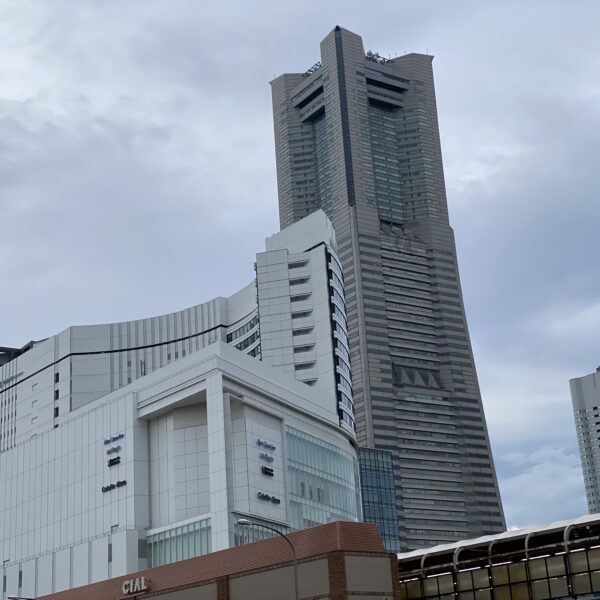 あるようです
