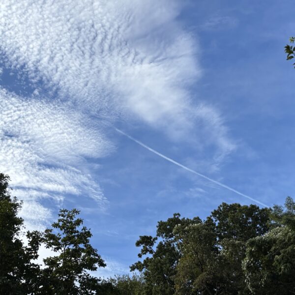 そのための努力