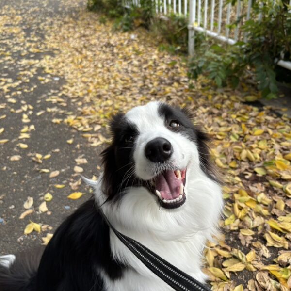 そんな顔されたら