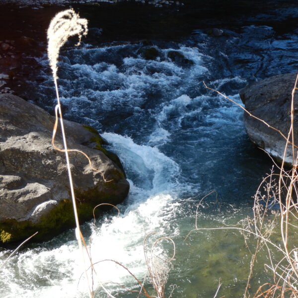 逆らわず、流されず