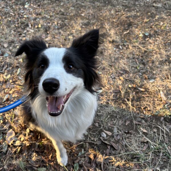 ゆっくりゆっくり