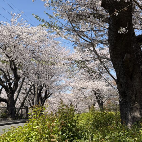 優しい人ほど気付かない