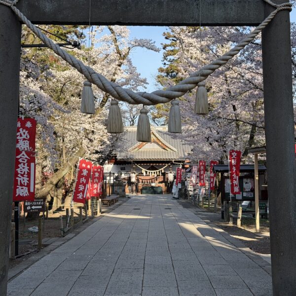 その姿が美しい