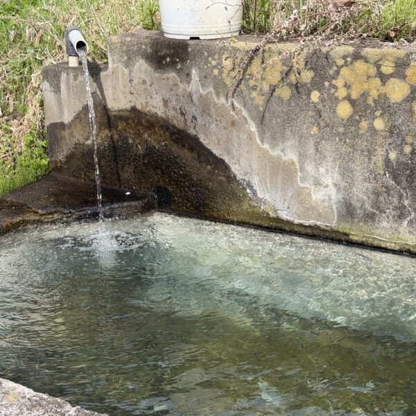 いつもとは違う道を