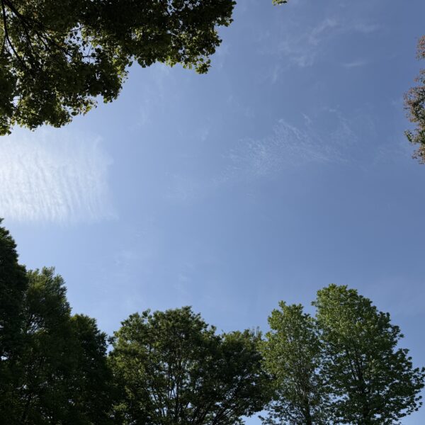 運命の出会いはそこにある