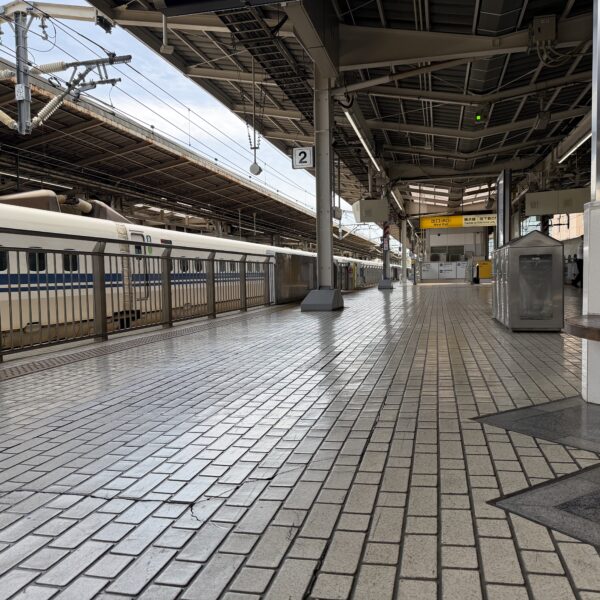 こんなところで会う?