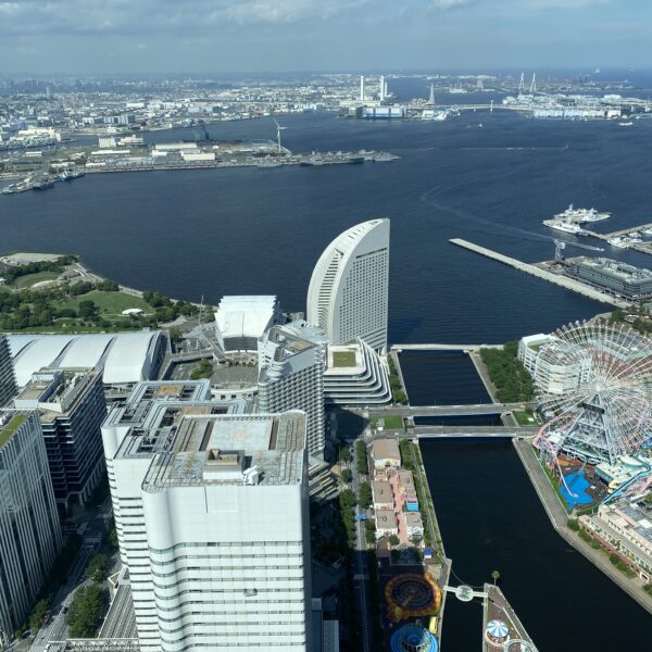 知るほどに
