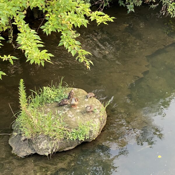 先入観なく