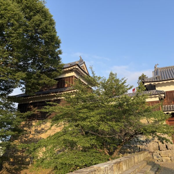 信州にて