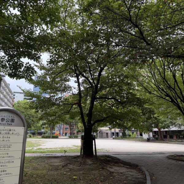 高場乱