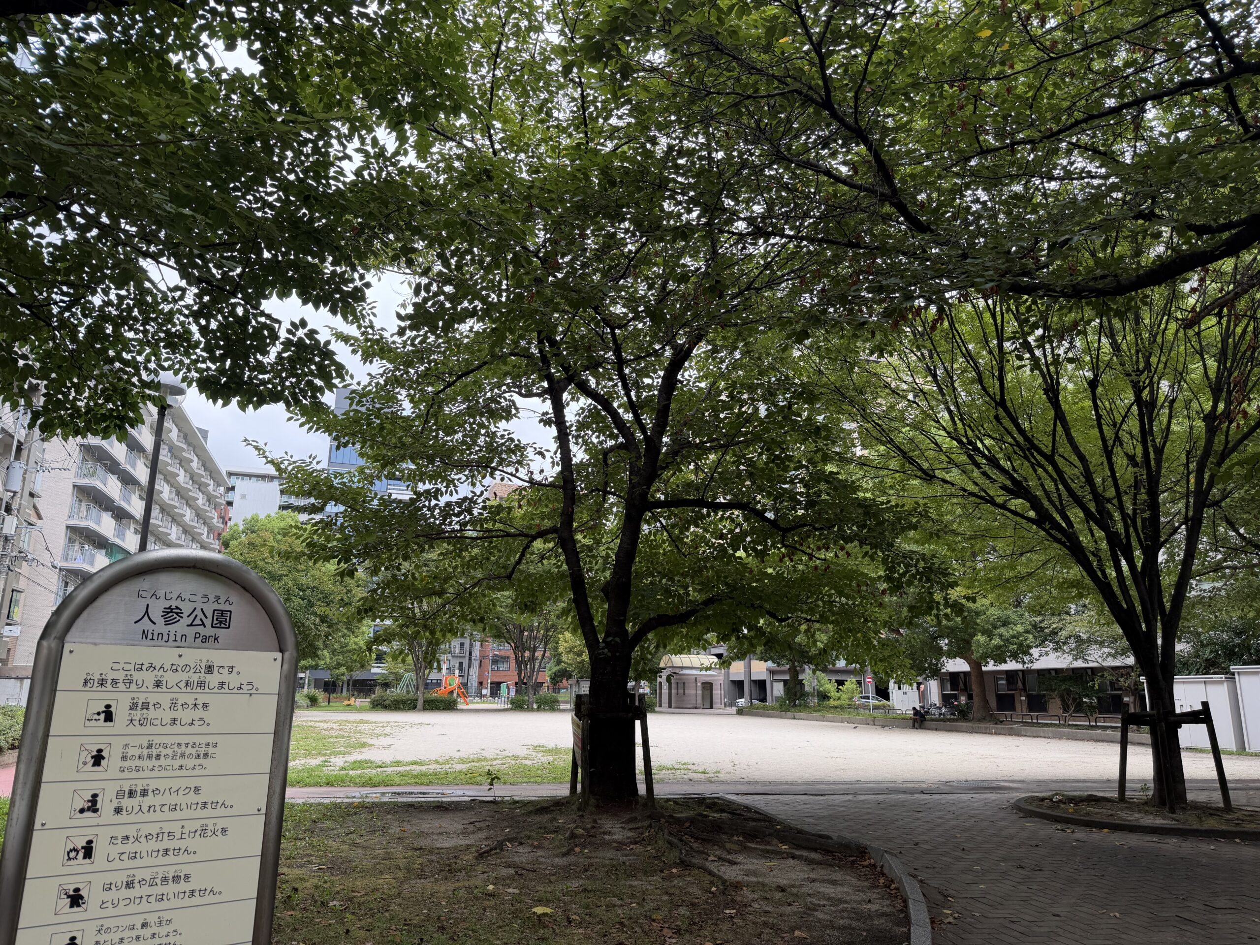 D*I様 【値引交渉可】喜多川泰 日々漸進 2026 Vol.47〜48 CD 日々漸進