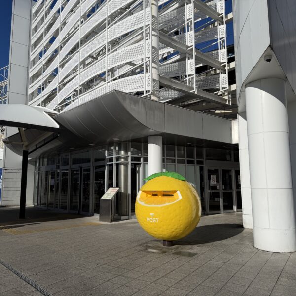 一ヶ月ほどで